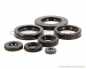 Preview: Motorsimmerringsatz / Öldichtring Set Motor # TOU-100-005