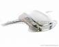 Preview: Halterung Nummernschild US BRACKET NUMBER # R-84701-300-671XW