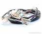 Preview: Kabelbaum Repro (WIRE HARNESS) # R-32100-098-621