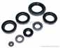 Preview: Engine Oil Seal Kit # EMG-100-001