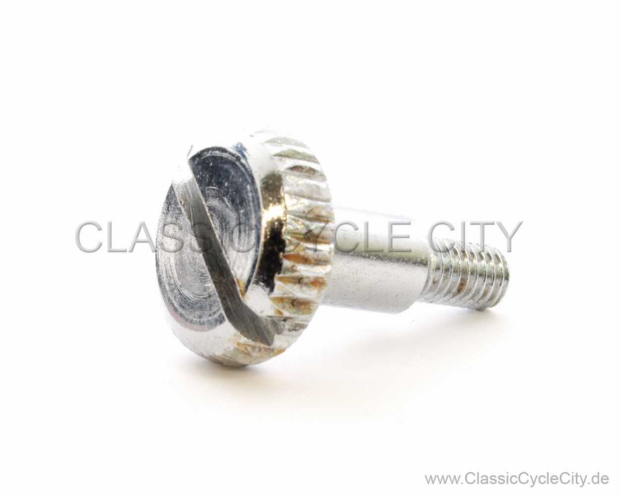Einstellschraube Gasgriff (BOLT ADJUSTER) # 53190-300-000