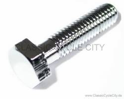 Schraube 6x25 (BOLT HEX 6x25 MM) # 92101-060250B