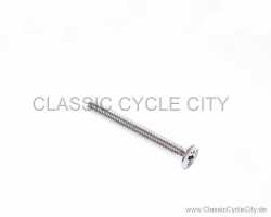 SCREW CROSS 3X25 MM # 93700-030-253B