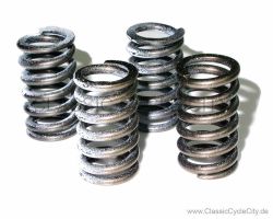 Feder Set Kupplung (SPRING KIT CLUTCH) # 00000-311-KIT