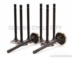 Valve Kit Intake/Exhaust (32/28 mm) # VES-000-003